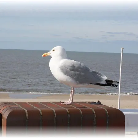 Wattenblick Eg
